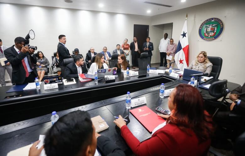 Diputado Palacios denuncia maniobras del Ejecutivo para impulsar a Dana Castañeda en la Comisión de Credenciales