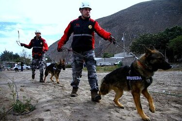 Quito vuelve a ser sacudida por un sismo