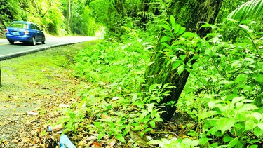 Ciclistas a favor de la naturaleza