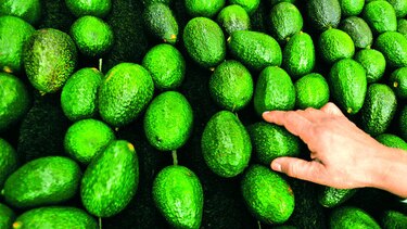 El Super Bowl recibirá 15 mil 227 toneladas de aguacate de productores de Jalisco, en México