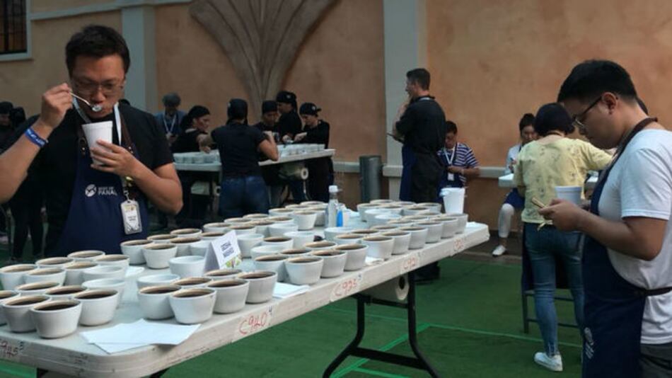 Anticipan récord en puntaje para el café geisha