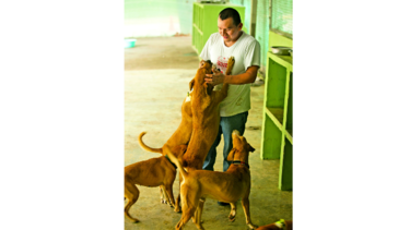 No existe el ‘perro de la calle’