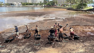 La limpieza del sargazo moviliza a voluntarios en Puerto Rico para salvar la vida marina