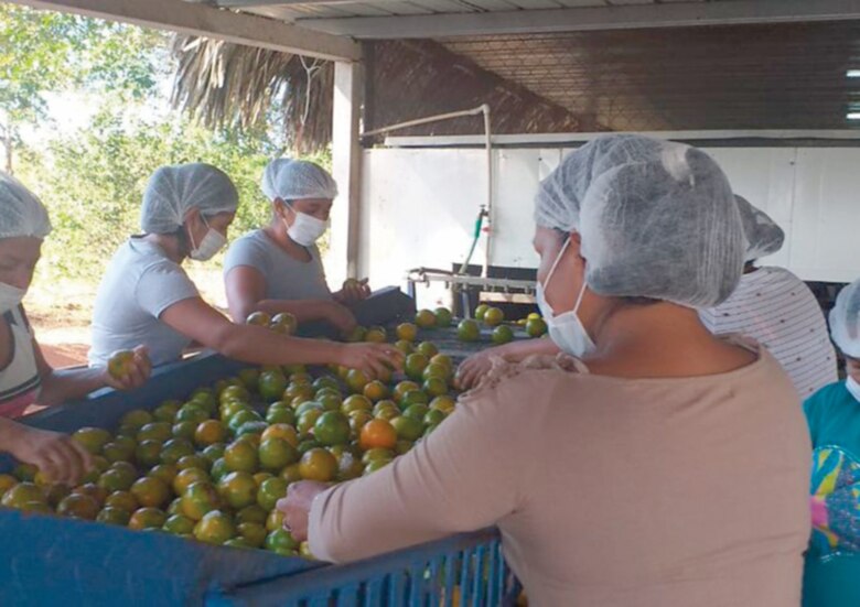 Panamá añade innovación y calidad a sus exportaciones