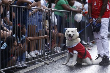 Más de 50 delegaciones y espíritu festivo en el desfile navideño