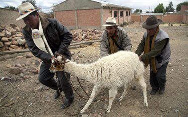 Primer gobierno autónomo indígena asume en Bolivia