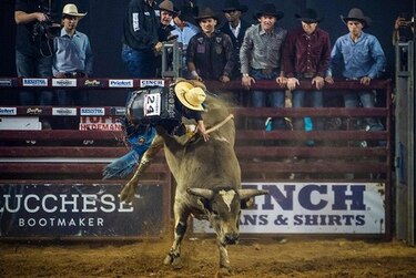 Los ocho segundos más largos de la vida: en Texas y sobre un toro