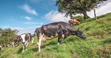El imparable motor de la agroindustria