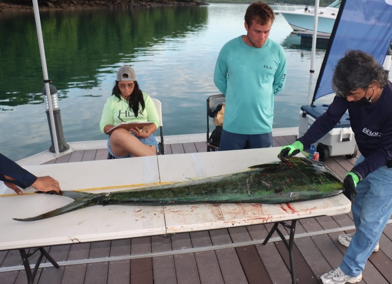 ARAP detalla avances de la consulta pública sobre pesca deportiva