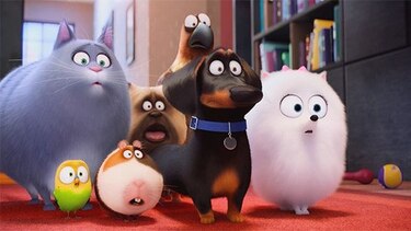 Illumination Entertainment: los altos y bajos de una empresa