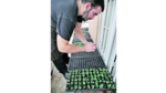 Cocina de avanzada