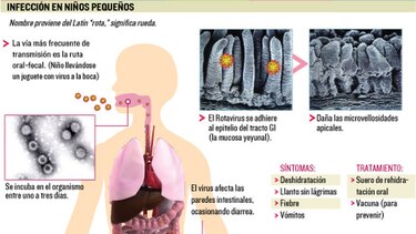 Tras la pista del rotavirus