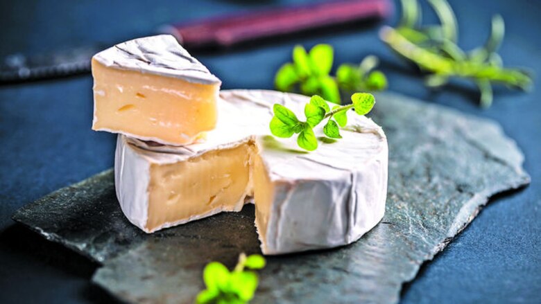 El queso como aliado nutricional