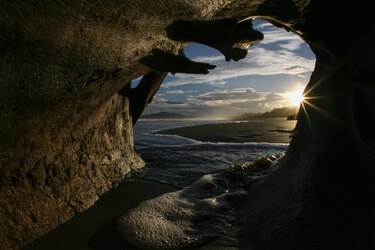 Explora el arte de la fotografía con Alexander Arosemena