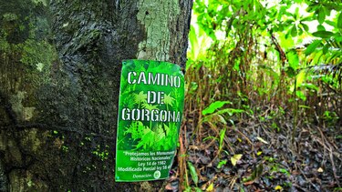 Por la ruta Gorgona