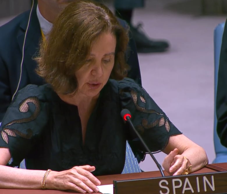 En vivo: Continúa el debate sobre la seguridad marítima, liderado por Panamá en el Consejo de Seguridad de la ONU