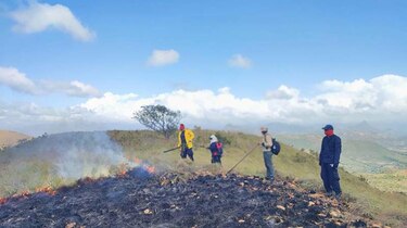 Bomberos culminan investigación sobre incendio en el cerro Guacamaya y entregan reporte a las autoridades