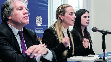 14 países critican a Maduro; la OEA sesionará el martes