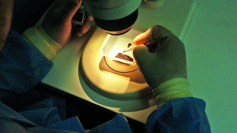 Lo que nos deja 2016 en ciencia