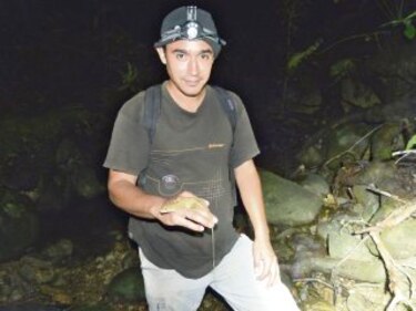 La suerte de hallar una salamandra
