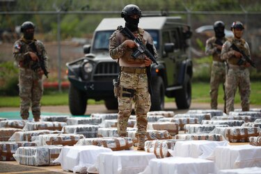 589 toneladas de drogas fueron incautadas en los últimos cinco años