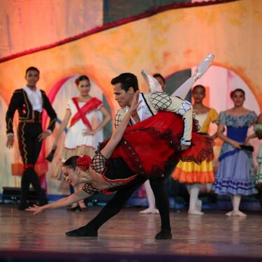 10 años de historia Muscalion