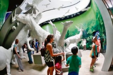 Los colores del Biomuseo de Panamá