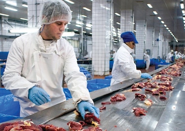 Productora de carne brasileña mira a Paraguay