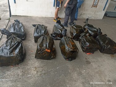Decomisan 200 paquetes de droga dentro de un camión cisterna