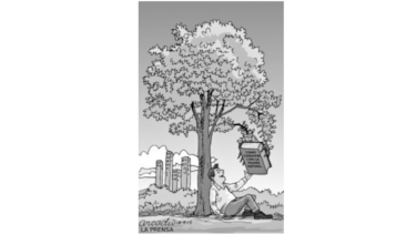 La tragedia de los comunes: Iván Samaniego