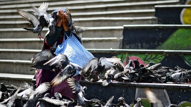 Bajo pedidos de dimisión, Jeanine Áñez intenta cesar protestas en Bolivia