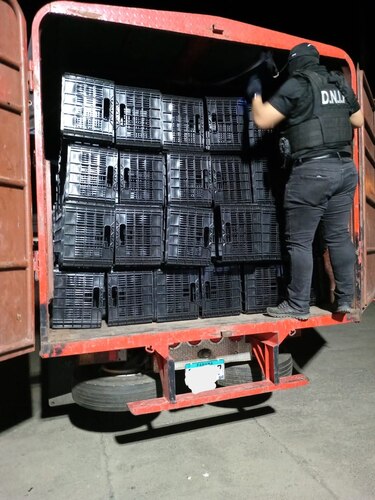Veraguas: decomisan más de 450 paquetes de droga ocultos en un camión