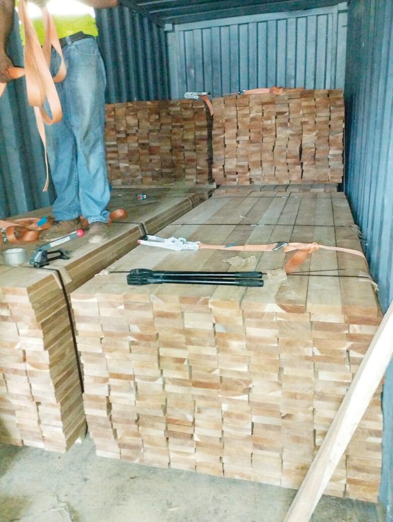 Teca de Darién para el mundo