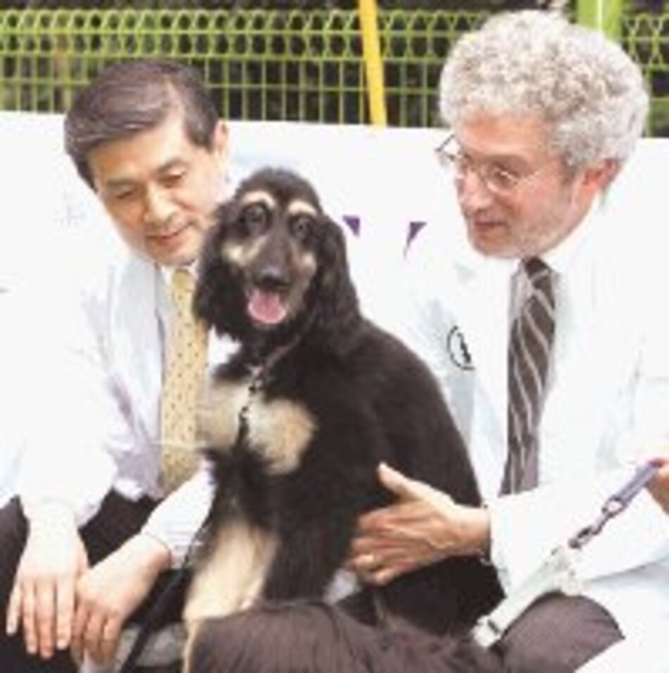 Abre banco de células madre