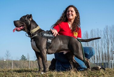 Las mascotas ayudan a los alemanes a sobrellevar la pandemia