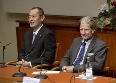 Demandan al Instituto Karolinska, que concede los Nobel, por difamación