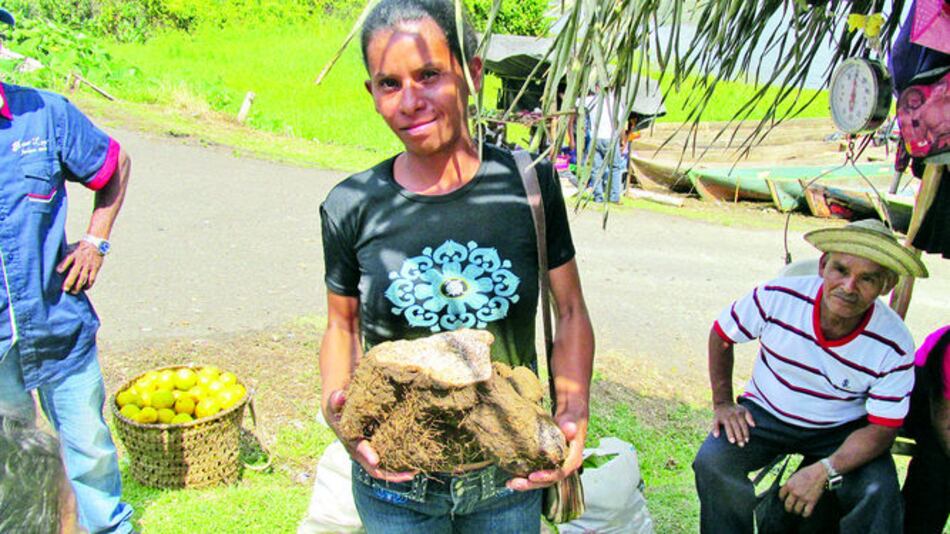 Feria de Costa Abajo de Colón reveló potencial productivo