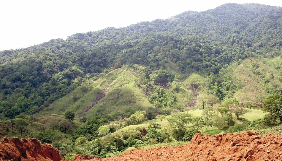 Propuesta permitiría titular área protegida