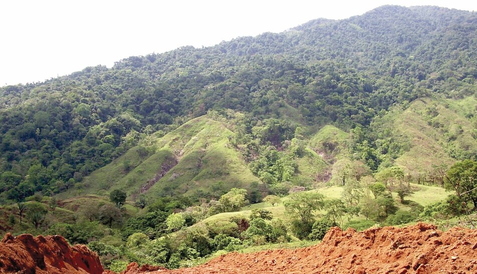 Propuesta permitiría titular área protegida