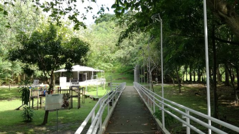 Bálsamo de guayacanes