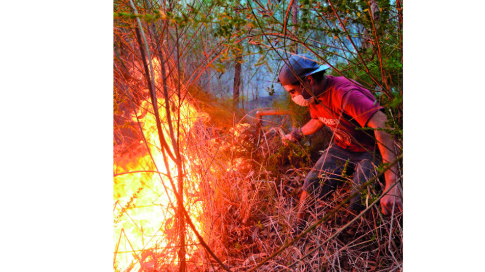 Más de 40 detenidos por masivos incendios en Chile