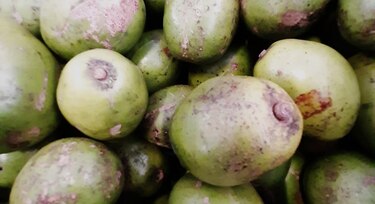 La triste desaparición de frutas de antaño