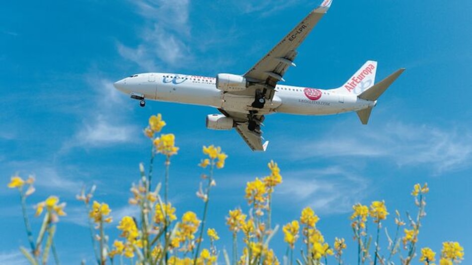 Iberia compra Air Europa y se impulsa en América Latina