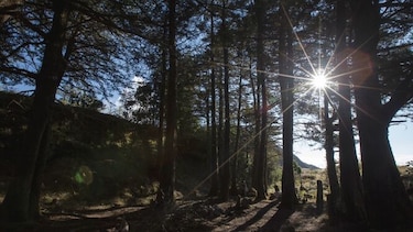 Filosofar desde Nabgwana (Madre Tierra)