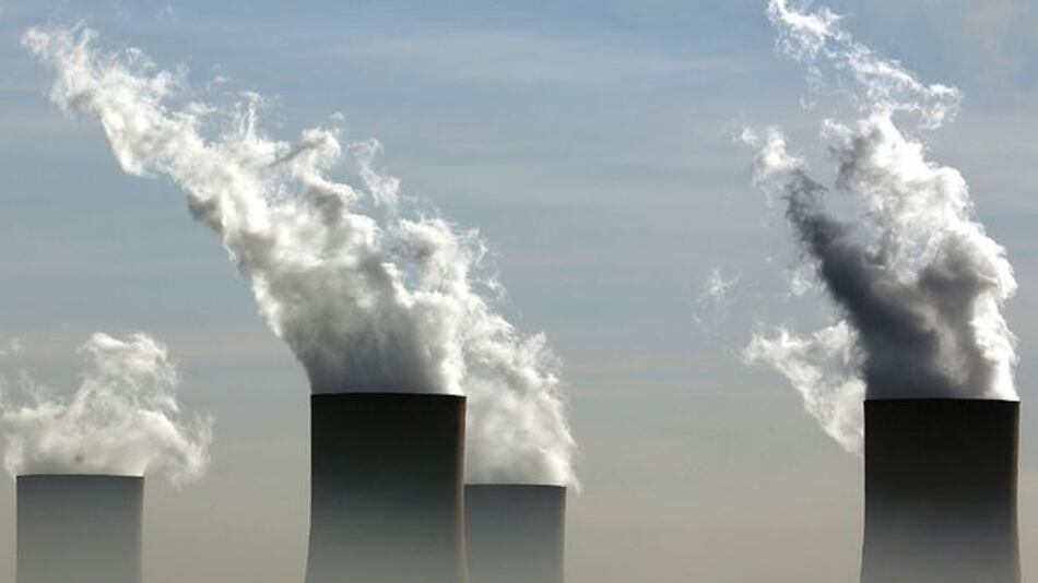 Estudian causas de la enorme extinción masiva