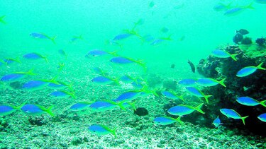 El océano espera por una tregua