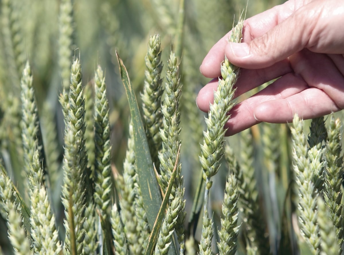 El recurso vital en disputa y desigualdad