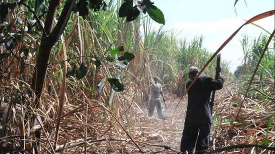 Panamá es excluida por Estados Unidos de la lista de los países con riesgo de mano de obra infantil