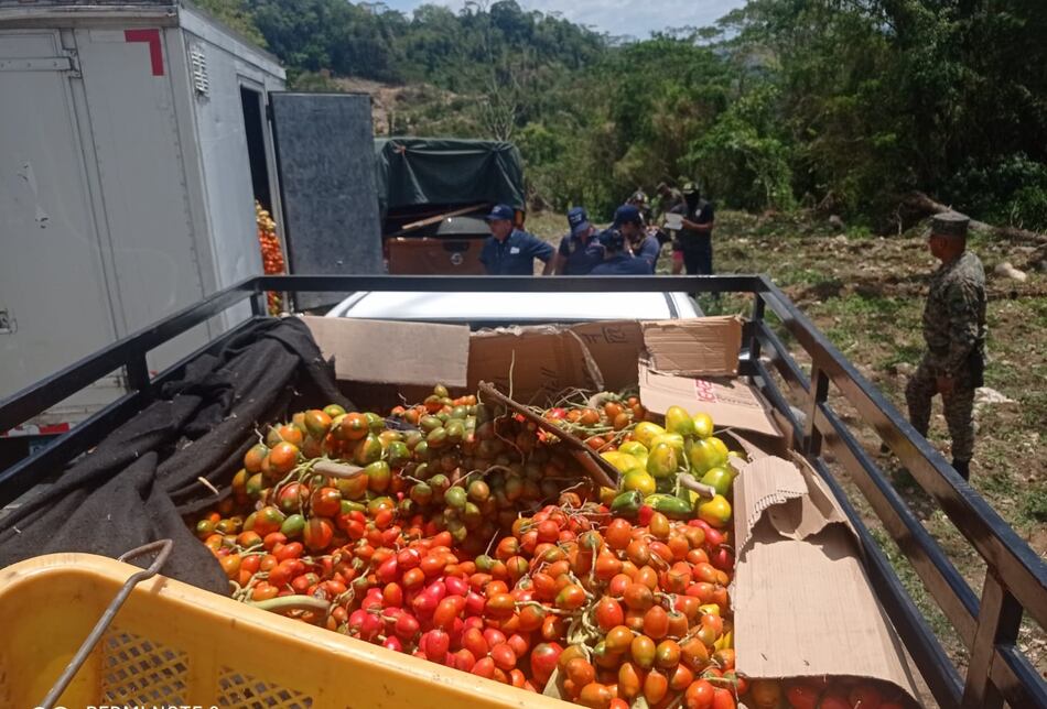 Detectan camión con contrabando de fresas y pixbae proveniente de Costa Rica