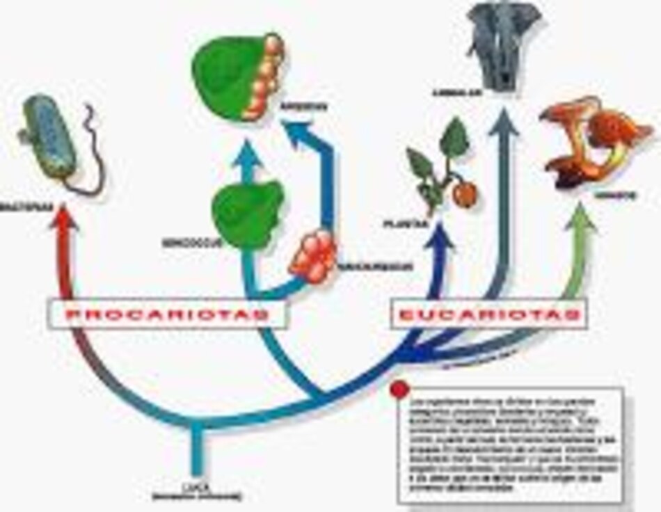 Esas pequeñas cosas